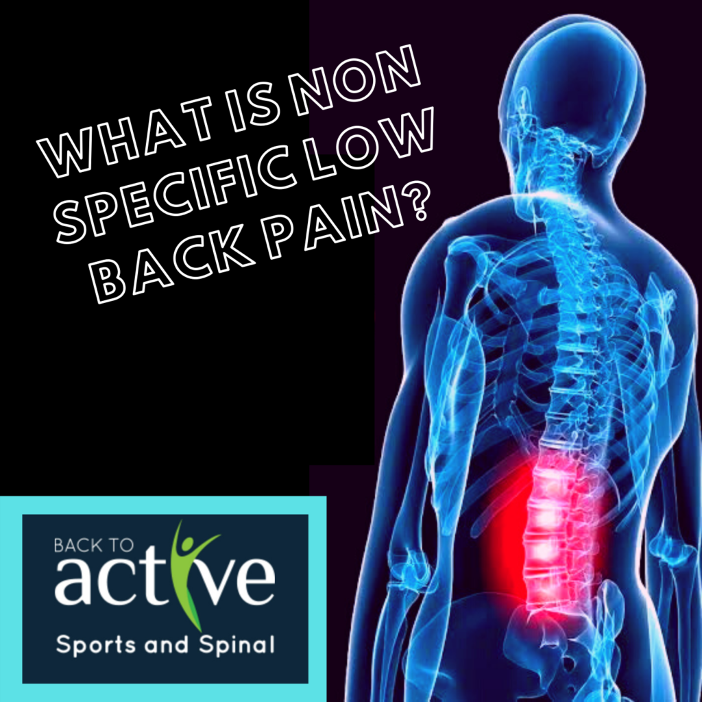 lower spine pain